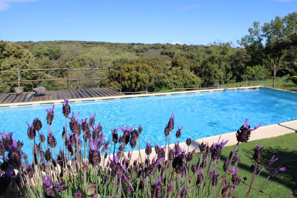 Апартаменты Quinta Da Devesa B1 Виньяйш Экстерьер фото