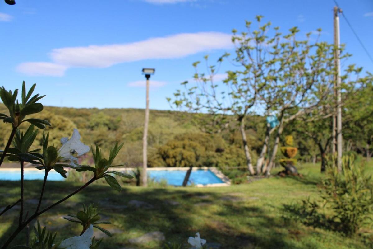 Апартаменты Quinta Da Devesa B1 Виньяйш Экстерьер фото